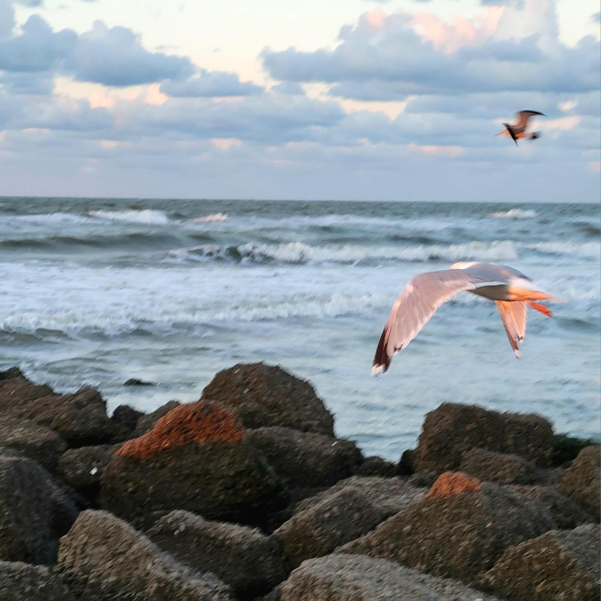 Caravan Aan Zee Arnani Middelkerke Ngoại thất bức ảnh